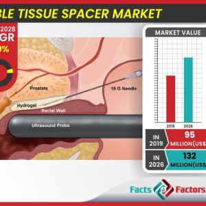 Global Absorbable Tissue Spacer Market