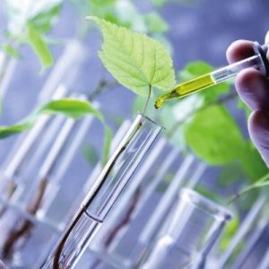 Global Renewable Chemicals Market