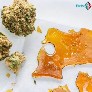 Global Cannabis Concentrate Market